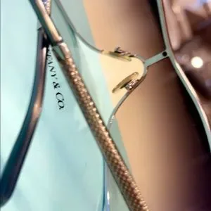 Tiffany & Co. | Accessories | Tiffany Company Beautiful  display picture 3